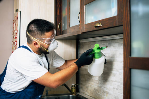Best Pest Control Near Me in King George, VA