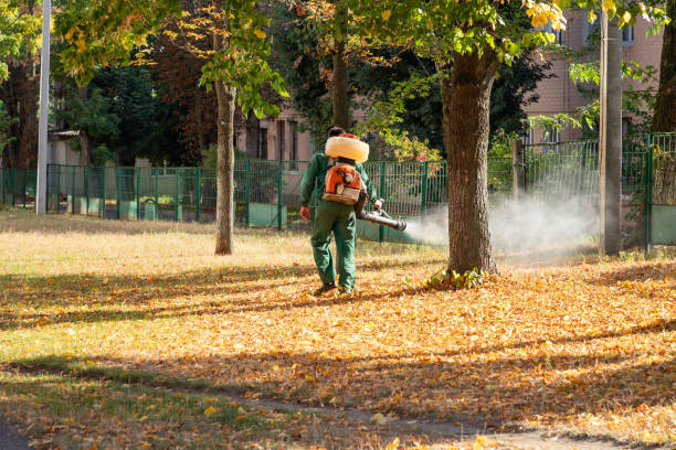 Best Mosquito Control Services  in King George, VA